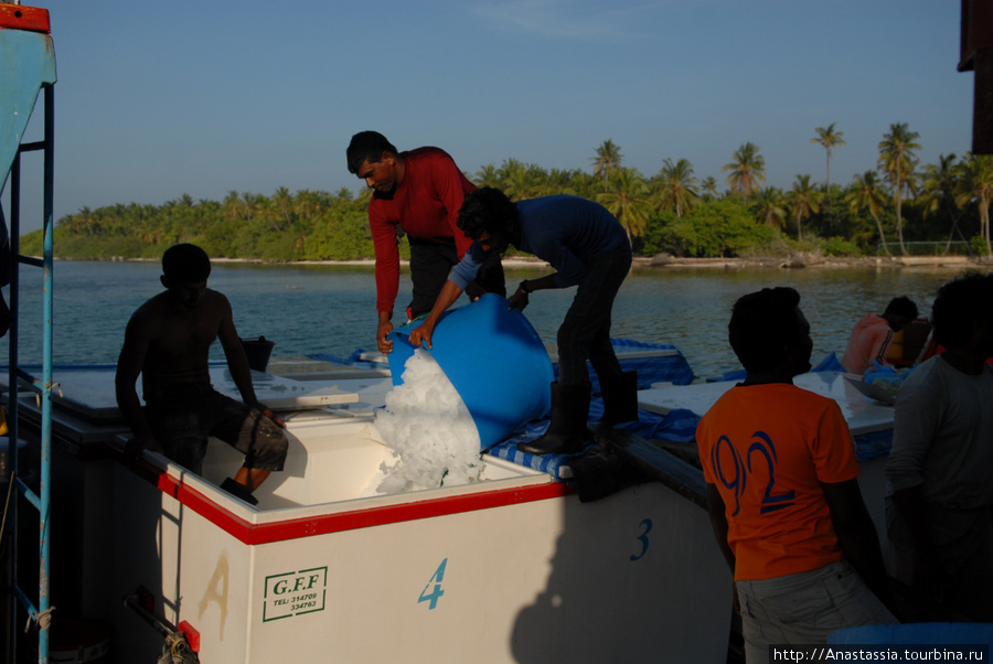 Остров рыбаков Северный Мале Атолл, Мальдивские острова