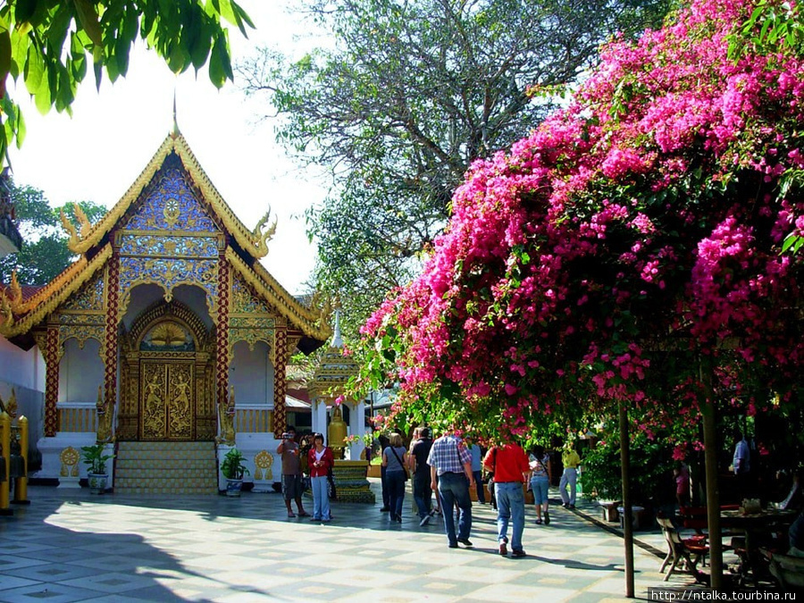 Чианг-Мeй Чиангмай, Таиланд