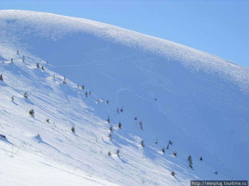 Обратите внимание: синусоида следа лыжника на затенённом склоне прерывается обрывом лавины. Площадь схода 2-3 футбольных поля. К счастью, никто не пострадал. Настоятельно рекомендую комплект лавинного снаряжения! Закарпатская область, Украина