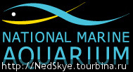 Национальный морской океанариум / National Marine Aquarium