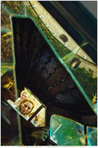 Дождливое такси. Дали создал этот экспонат к Всемирной выставке сюрреализма в Париже 1938 года, организованной Андре Бретоном и Полем Элюаром с участием Марселя Дюшана. Верхняя часть экспозиции включает в себя мешочки (презервативы) с водой, которая капает и просачивается сквозь стёкла и обшивку машины.