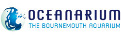 Океанариум / Oceanarium