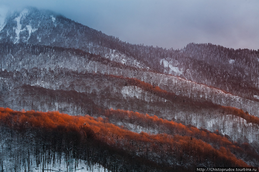 Дорога Красная Поляна, Россия