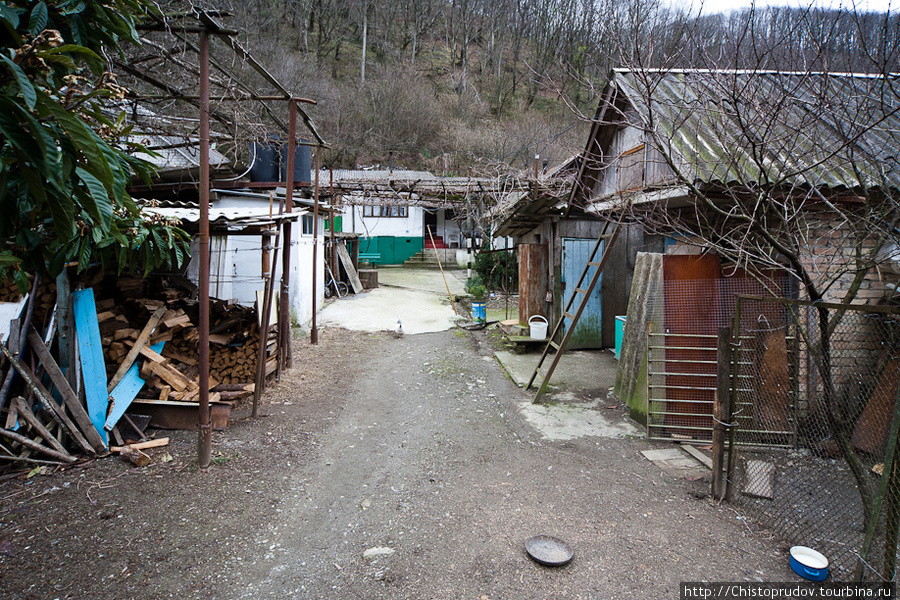 Дорога Красная Поляна, Россия