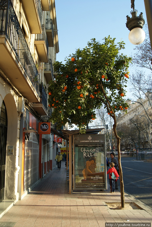 Весна в Валенсии Валенсия, Испания
