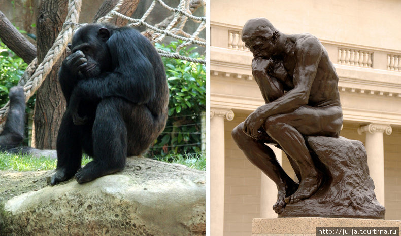 Справа: Мыслитель, неизвестный скульптор, Барселона;
Слева: Мыслитель, Роден, Париж) Барселона, Испания