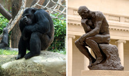 Справа: Мыслитель, неизвестный скульптор, Барселона;
Слева: Мыслитель, Роден, Париж)