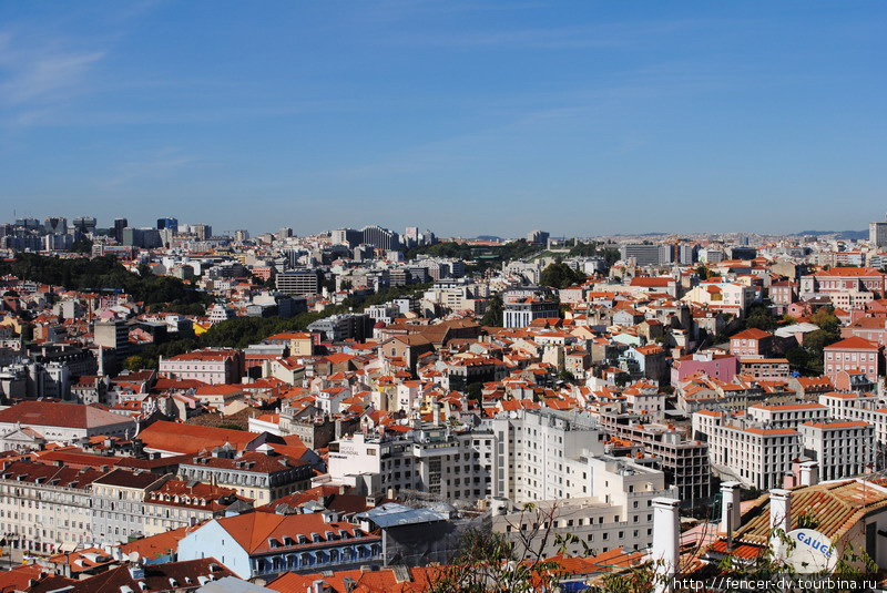 Зеленая полоса — знаменитая авенида Свободы Лиссабон, Португалия