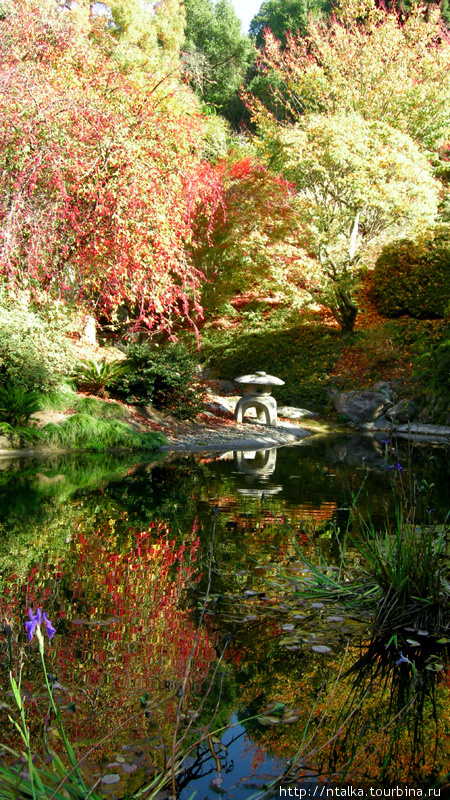 Беркли - университет и ботанический сад Беркли, CША