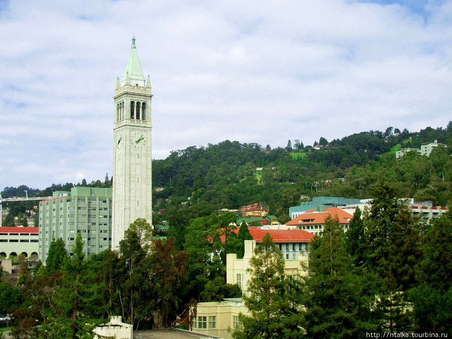 Беркли - университет и ботанический сад Беркли, CША