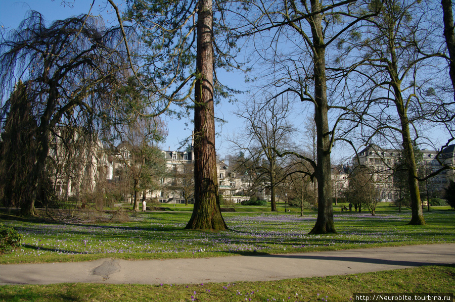 В парке уже пахнет весной Баден-Баден, Германия