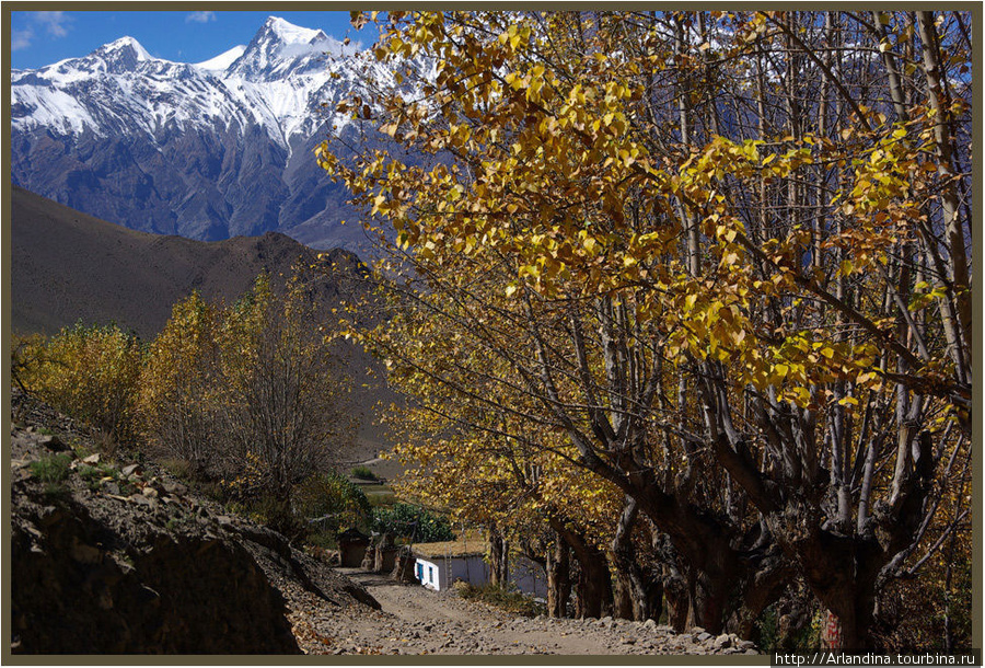 Пора урожая. Гималаи, по пути в Муктинат. (Muktinath) Непал