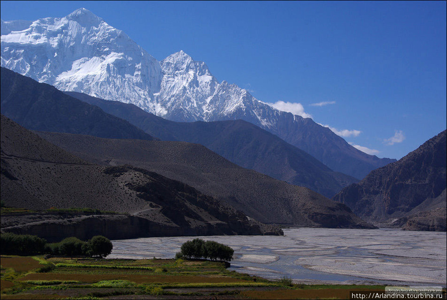 Пора урожая. Гималаи, по пути в Муктинат. (Muktinath) Непал