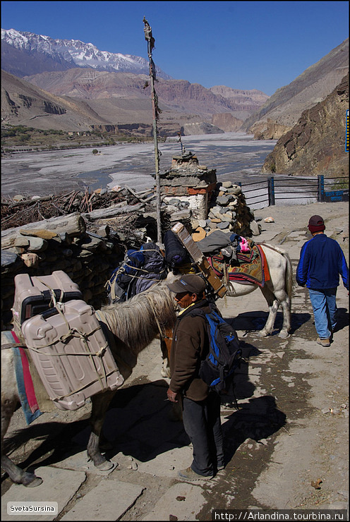 Пора урожая. Гималаи, по пути в Муктинат. (Muktinath) Непал