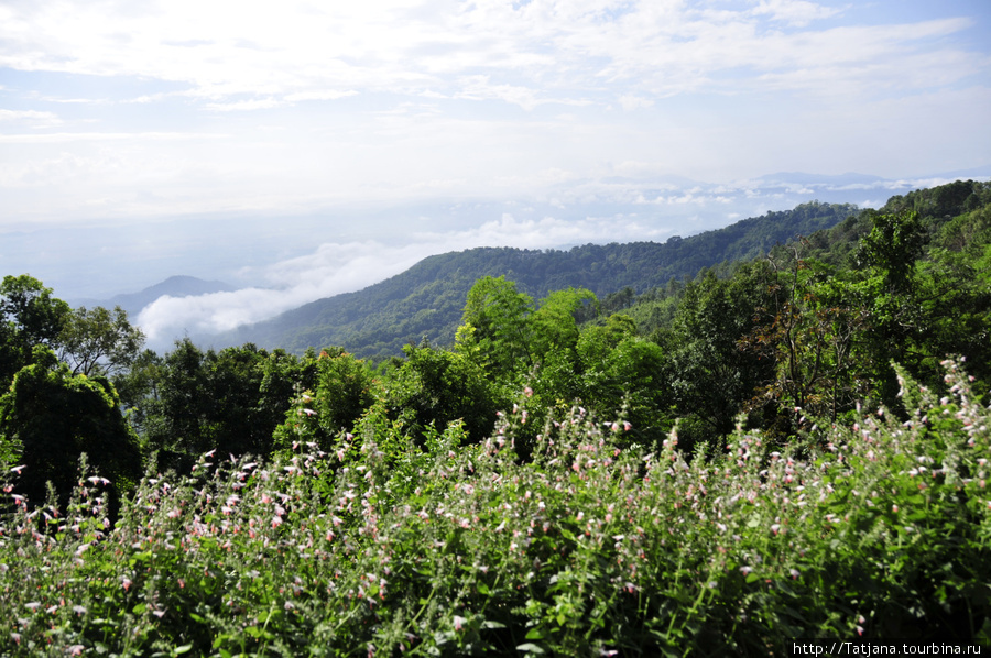 Doi Tung Royal Королевская вилла в горах Чанг Мая Чиангмай, Таиланд