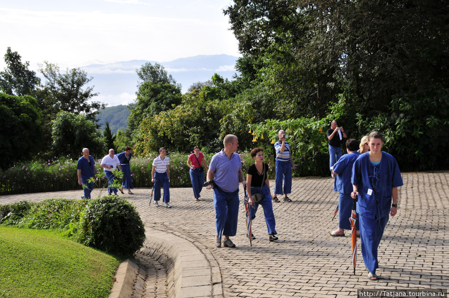 Doi Tung Royal Королевская вилла в горах Чанг Мая Чиангмай, Таиланд