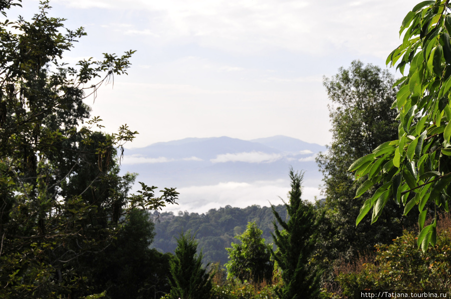 Doi Tung Royal Королевская вилла в горах Чанг Мая Чиангмай, Таиланд