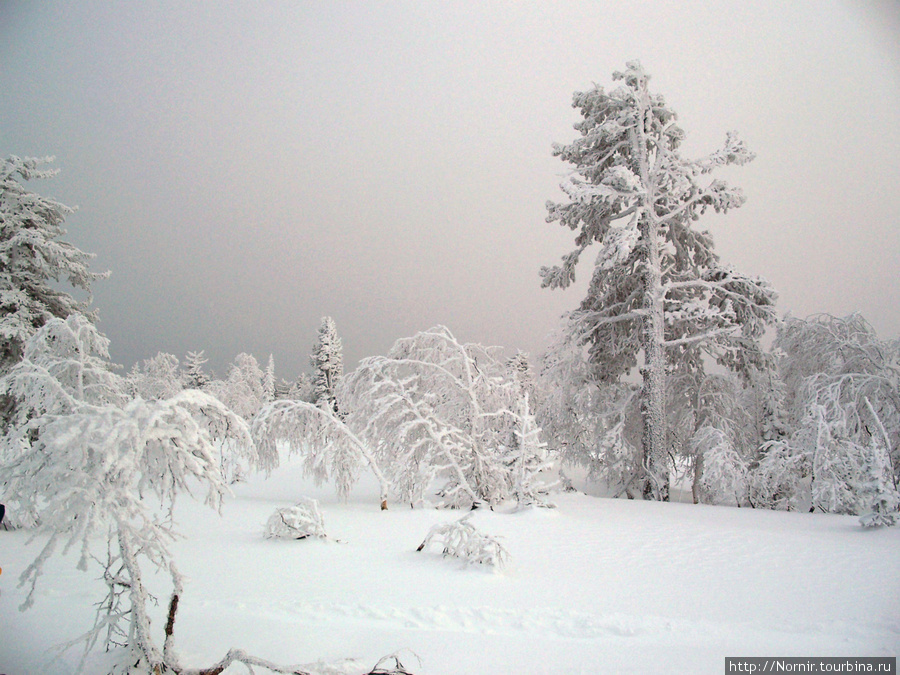 Шерегеш/горная Шория _ декабрь 2009 Шерегеш, Россия