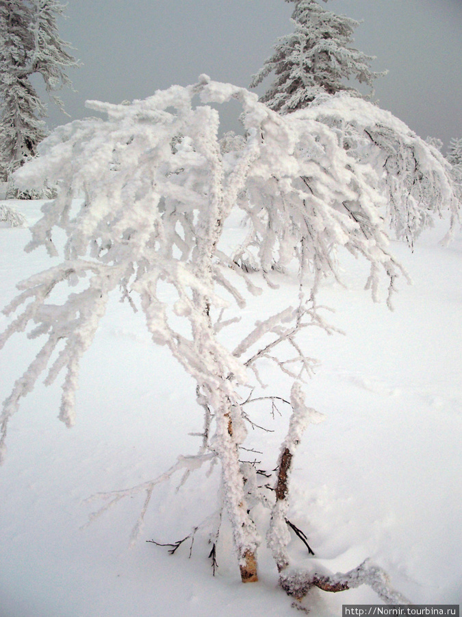 Шерегеш/горная Шория _ декабрь 2009 Шерегеш, Россия