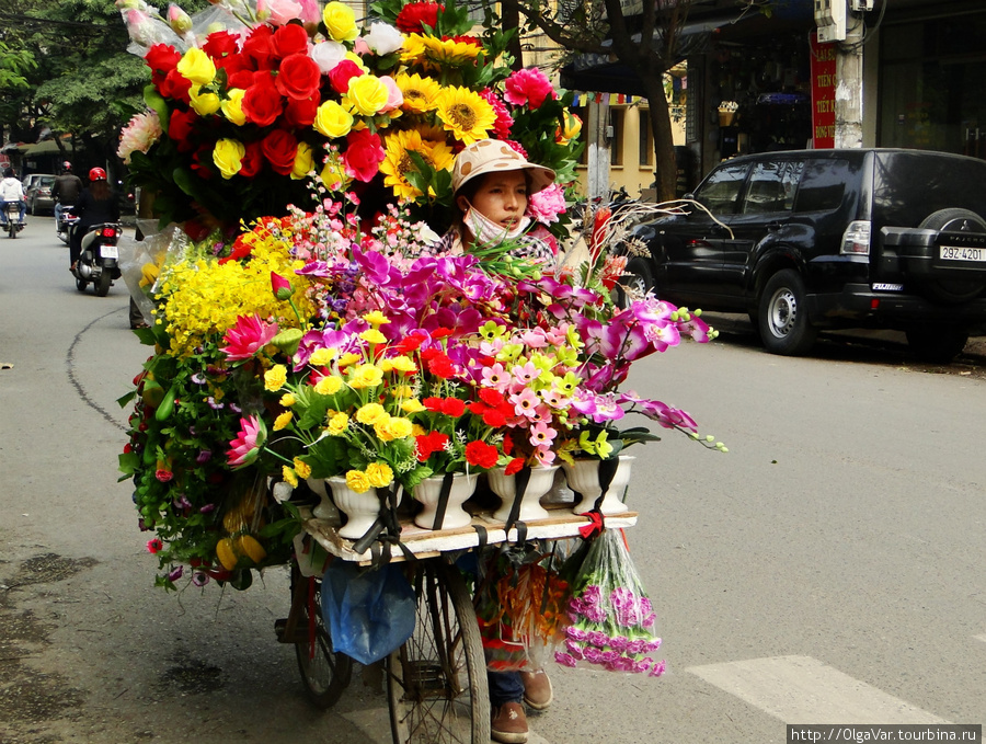 Из-за огромного кличества цветов не видно даже самого продавца Вьетнам