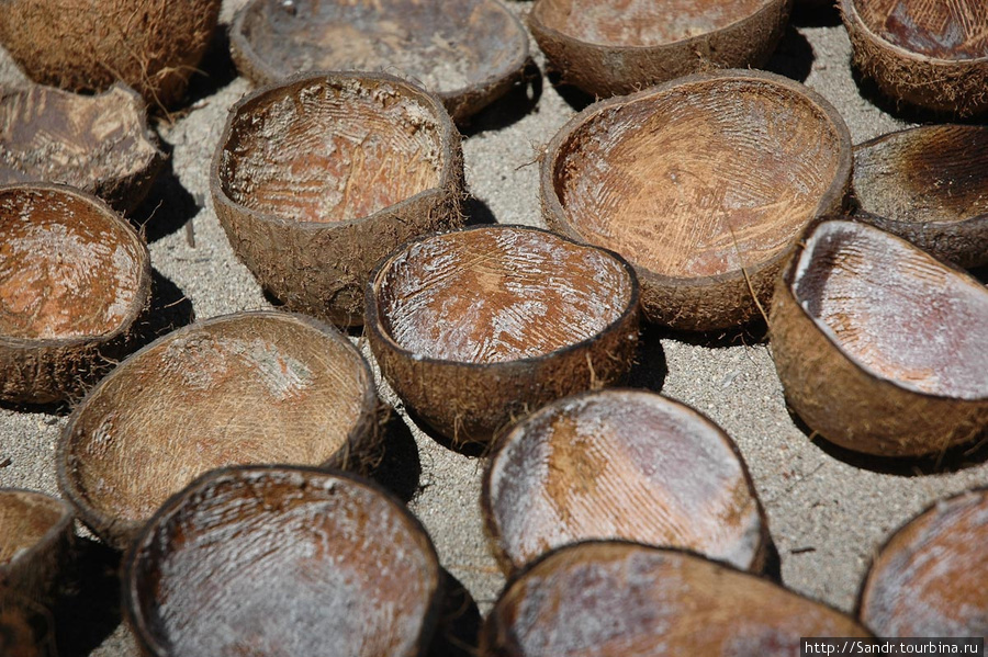 Любую еду, которую подают с рисом, готовят в кокосом молоке. Орехи используют для костров, на которых готовят. Ванимо, Папуа-Новая Гвинея