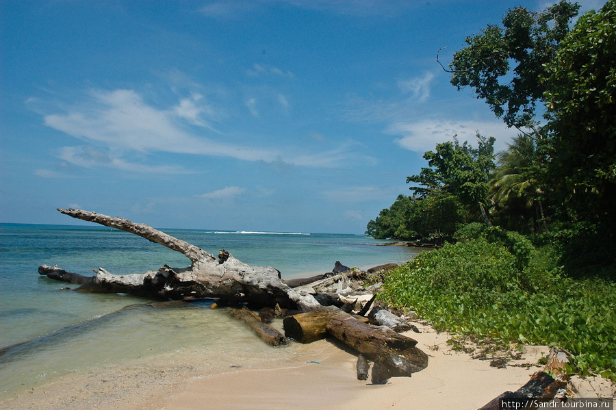 Ну и напоследок фото с пляжа, который находится здесь же в Вестдеко. Ванимо, Папуа-Новая Гвинея