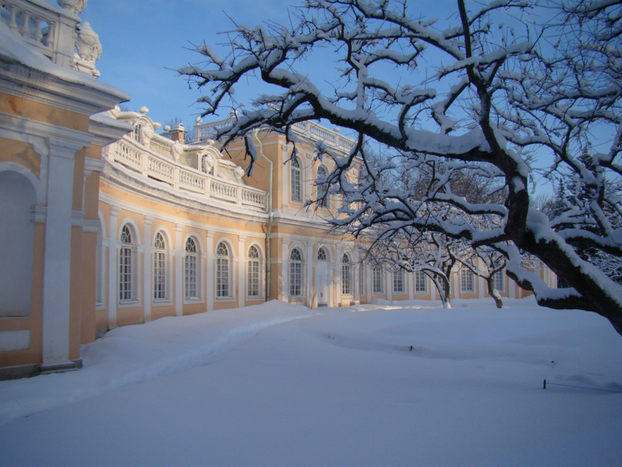 Оранжерея Петергоф, Россия