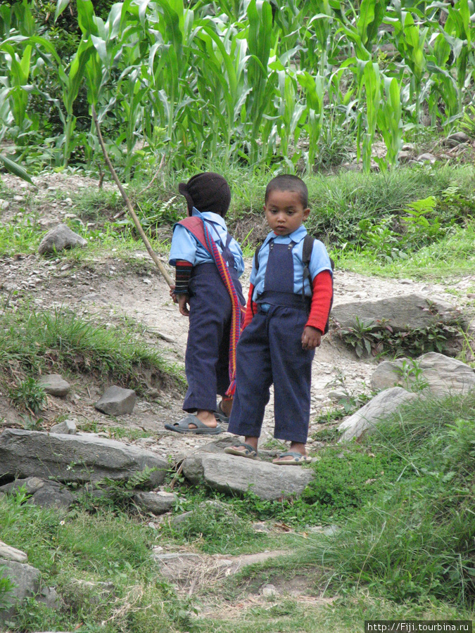 Эти  дети ( в Непале начинают учиться с 4) поднимаются в гору, чтобы попасть с начальную буддийскую школу. Катманду, Непал