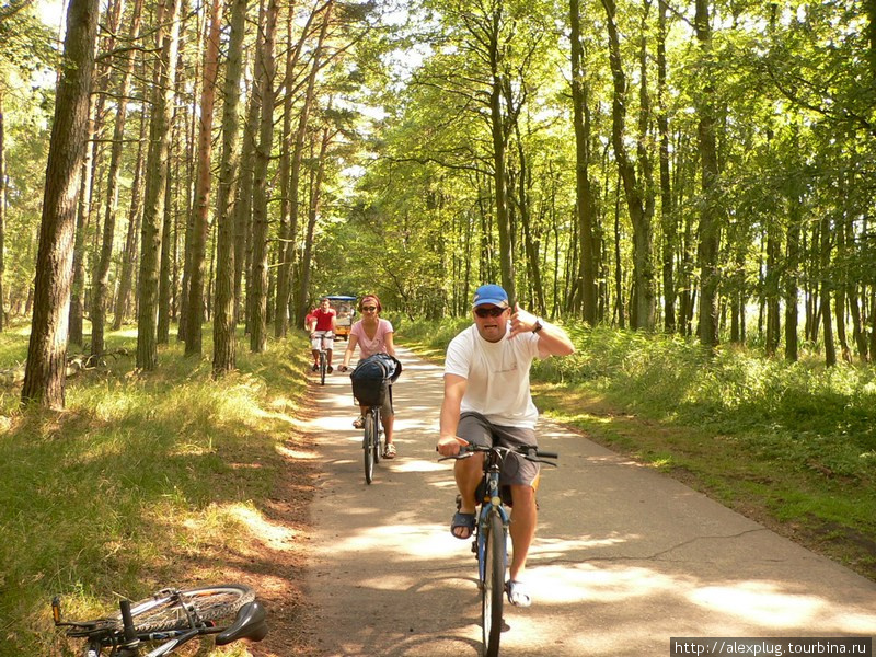 Добраться до парка можно из городка Леба (Веба) на электромобиле, арендованном велосипеде или пешком — около 11 км. Поморское воеводство, Польша