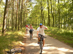 Добраться до парка можно из городка Леба (Веба) на электромобиле, арендованном велосипеде или пешком — около 11 км.