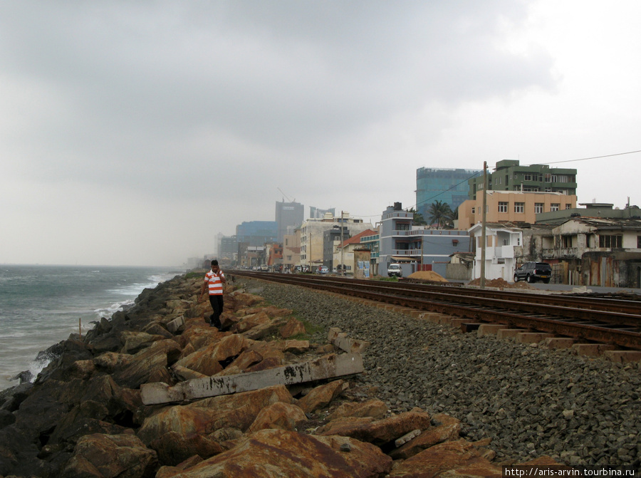 Шри-Ланка. Начало путешествия. Январь 2011