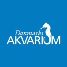 Датский Аквариум / Danmarks Akvarium