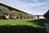 В кампусе море оливковых деревьев. Хоть с рюкзаком собирай  оливки.