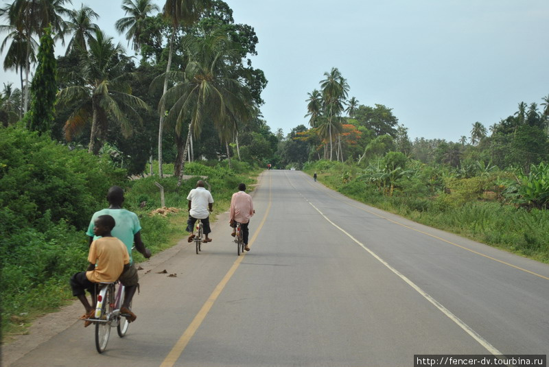 Велосипед — крайне популярный транспорт Остров Занзибар, Танзания