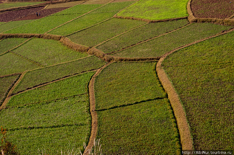 На спуске, с высоты можно наблюдать завораживающие пейзажи с орнаментами из рисовых полей, вписанных в ландшафт. Джинхонг, Китай