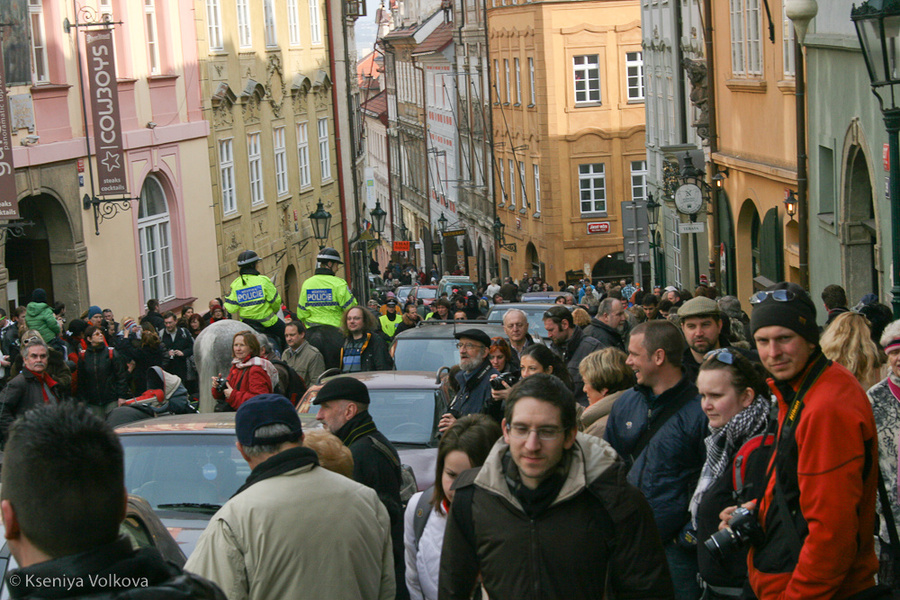 Охраной порядка во время праздника занималась конная полиция. Прага, Чехия