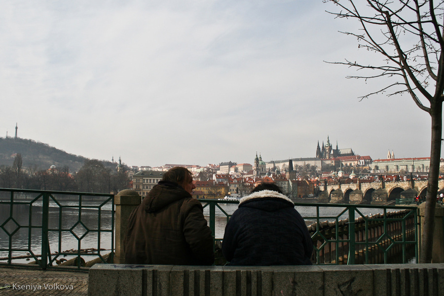 Влтава, Карлов мост и его обитатели Прага, Чехия