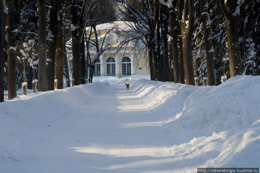 Павловский музей-заповедник зимой