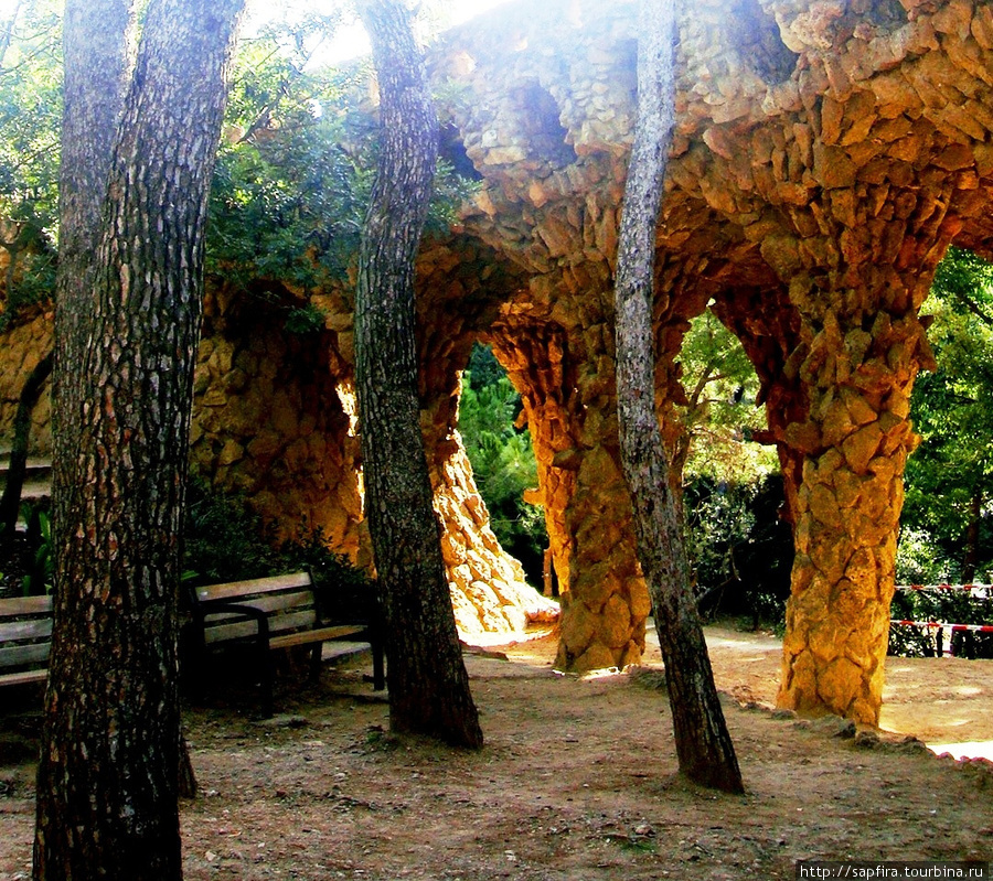 Прогулка в национальном парке Барселоны. Барселона, Испания