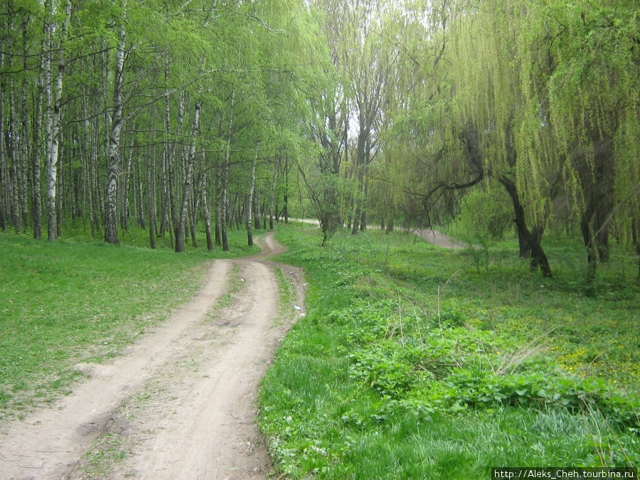 Дендропарк в г.Полтаве. Полтава, Украина