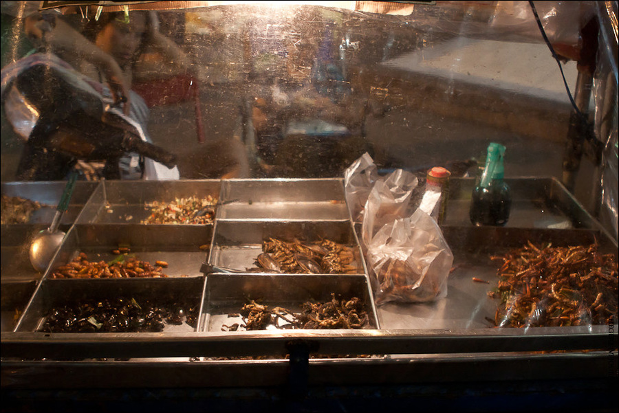 Всевозможная насекомная еда Бангкок, Таиланд