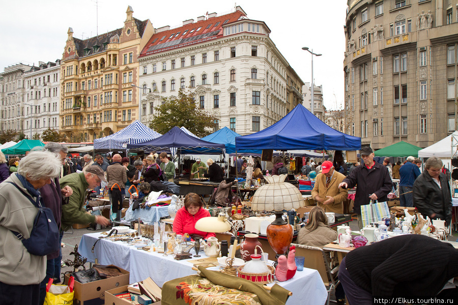 Фермерский рынок Вена, Австрия