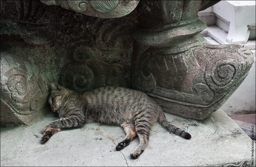И спят около древних статуй Бангкок, Таиланд
