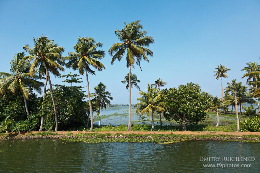 Каналы Кералы - Kerala Backwaters Аллеппи, Индия