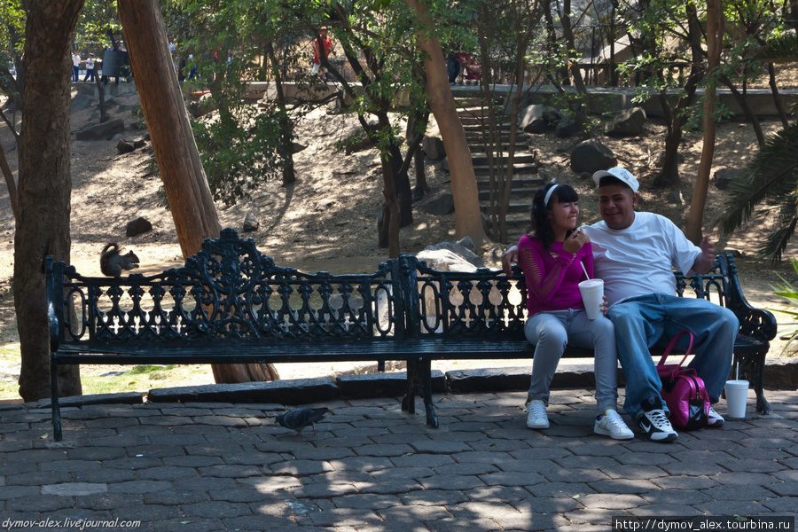 Двое в парке Мексика