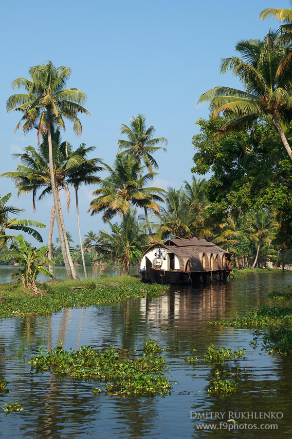 Каналы Кералы - Kerala Backwaters Аллеппи, Индия