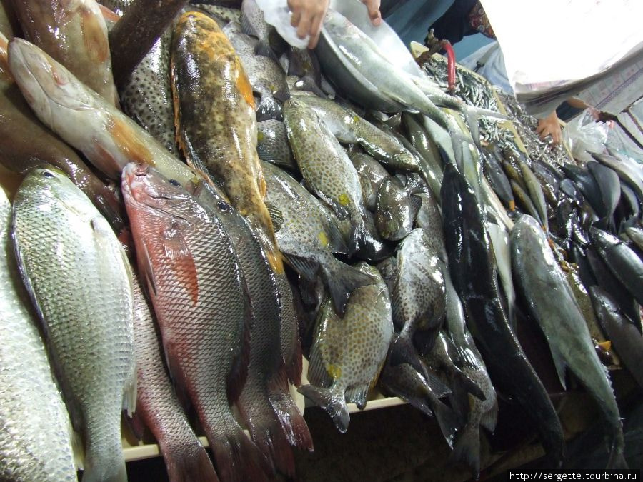 Всевозможная рыба на рынке Филиппины