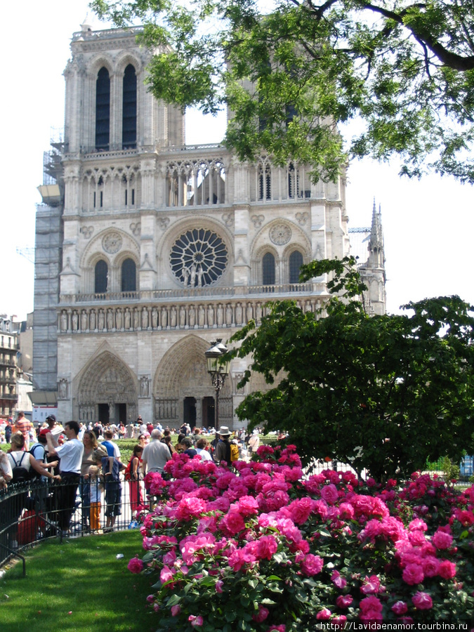 Нотр Дам в цвету Париж, Франция
