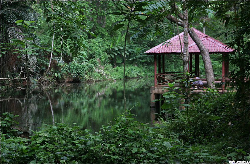 А рядом есть большой парк, джунгли и просто интересные места. Каки-Букит, Малайзия