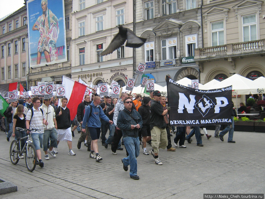 Протесты против голубых Краков, Польша